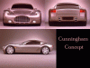 [thumbnail of cunningham concept08.jpg]